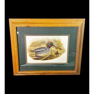 Querquedula Crecca Teal Duck by John Gould Vintage Framed & Matted Art Print
